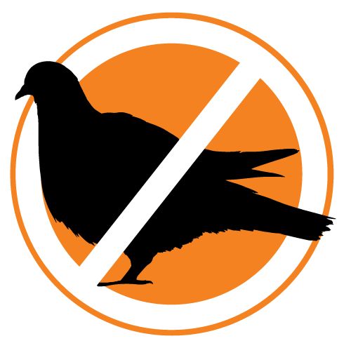 Professional bird netting installation