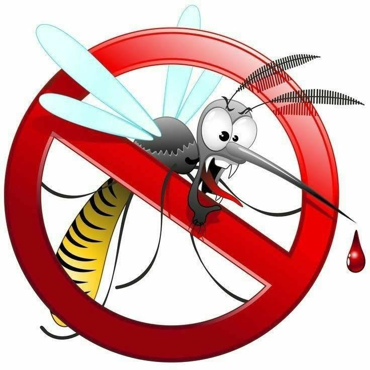 Professional mosquito fogging service
